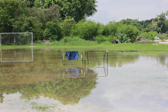 三部门联合发布！中国足球青少年赛事治理里程碑.