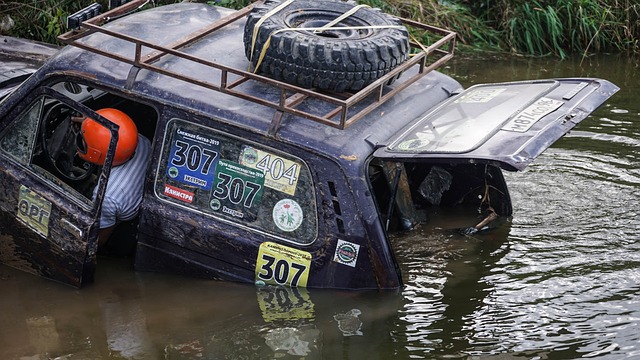 冬日暖阳里，复旦人跑起来！.