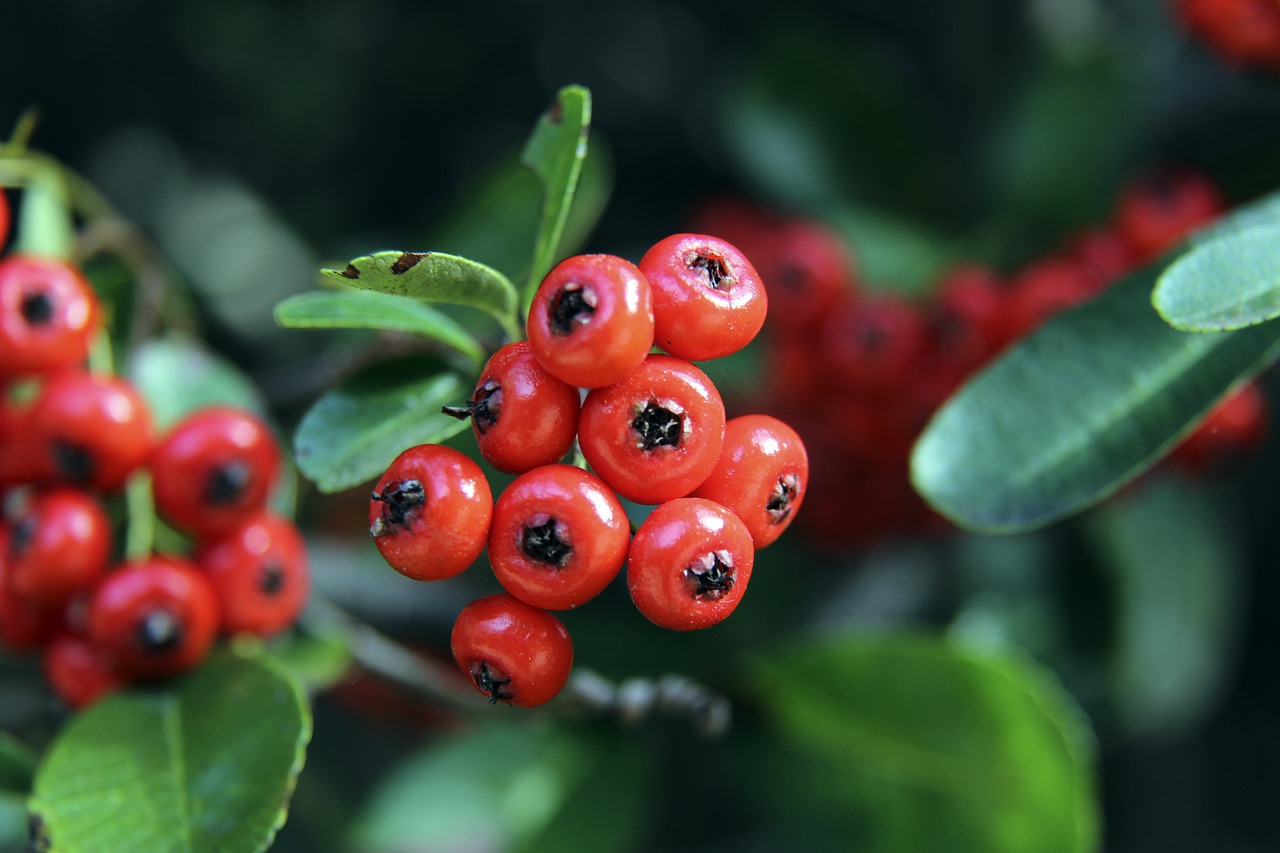 帕拉西奥斯：非常高兴重回成都比赛，希望老东家今后越来越好.